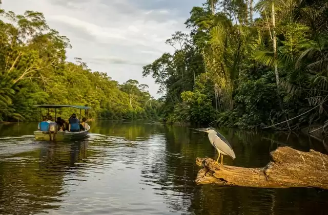 Reservas peruanas