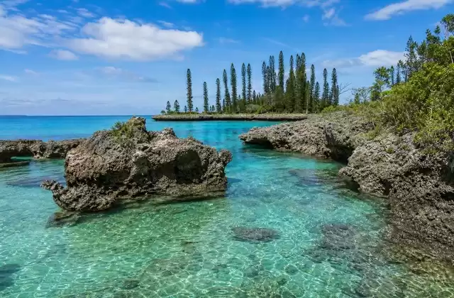 En la Isla de los Pinos