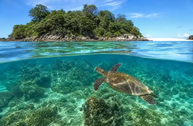 En Madagascar (Nosy Be)