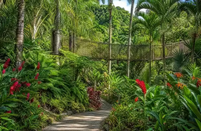 Jardín de Balata