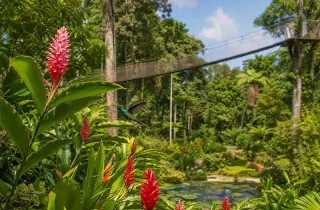 Jardín de Balata