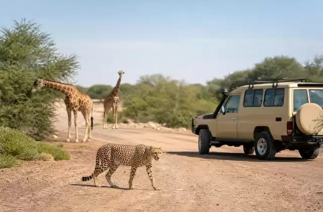 Sir Bani Yas