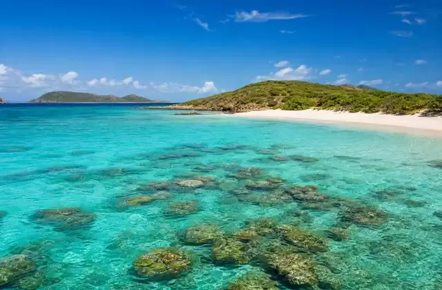 Buck Island