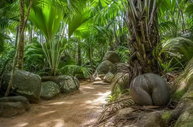 Praslin