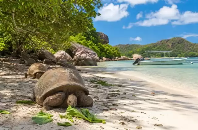 Praslin